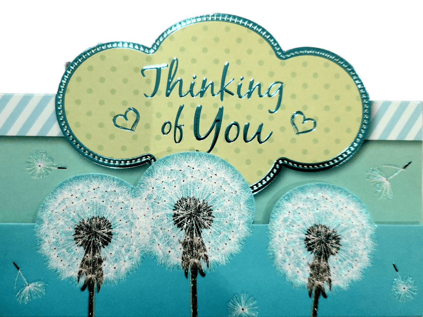 cards Thinking of You and Thank You Greeting Cards