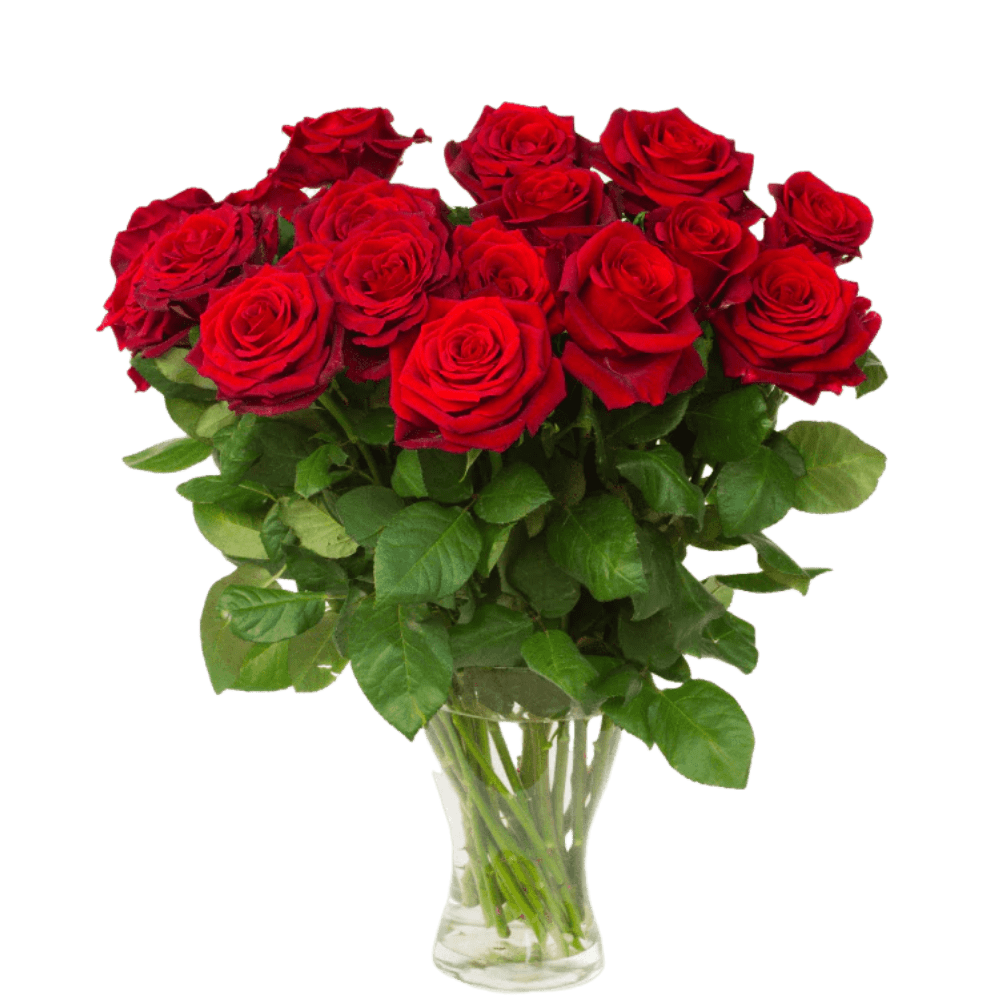 Red Roses Bouquet